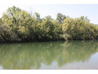 Property photo 80 - 419 +/- Acres offered in 6 Tracts, Land Auction